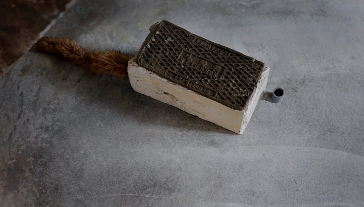 18055729_10209153763416358_7183336646450708147_o