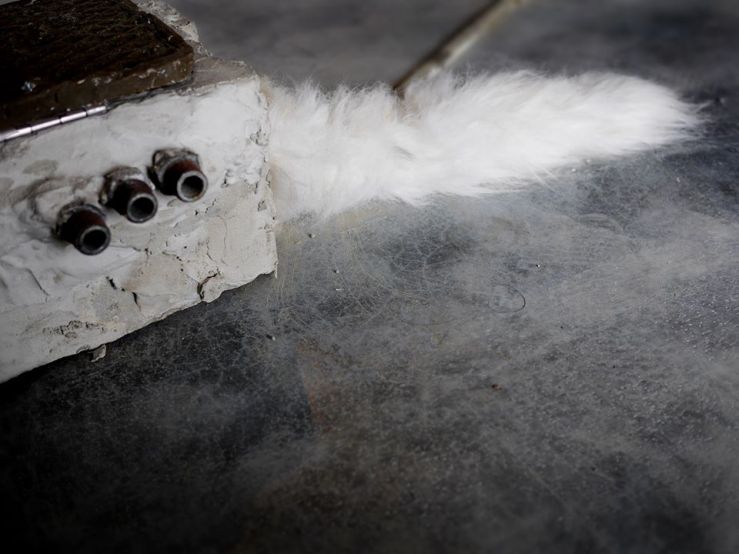 17952693_10209153776296680_4838068689581124853_n